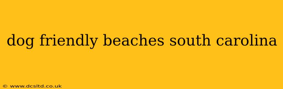 dog friendly beaches south carolina