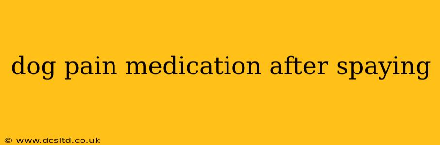 dog pain medication after spaying
