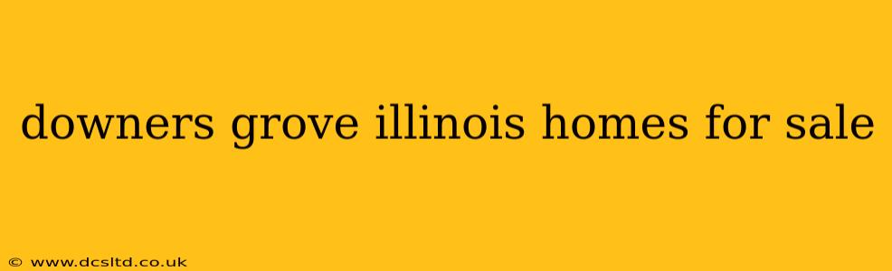 downers grove illinois homes for sale