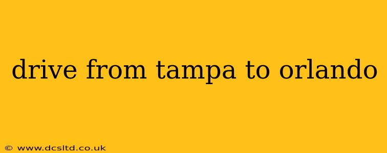 drive from tampa to orlando
