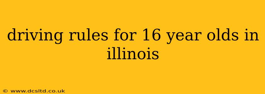 driving rules for 16 year olds in illinois