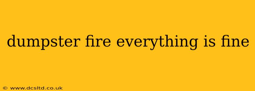 dumpster fire everything is fine