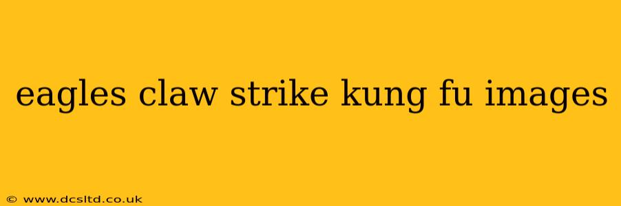 eagles claw strike kung fu images