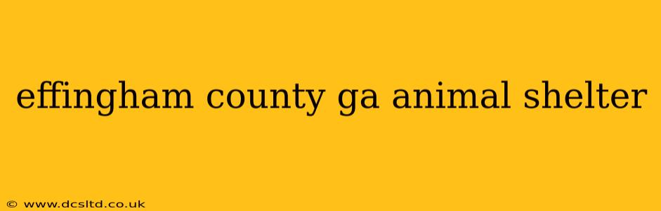 effingham county ga animal shelter