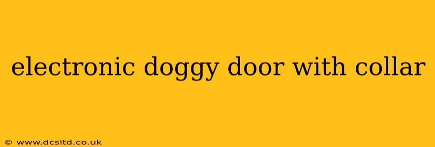 electronic doggy door with collar
