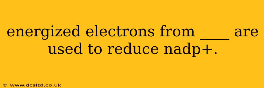 energized electrons from ____ are used to reduce nadp+.