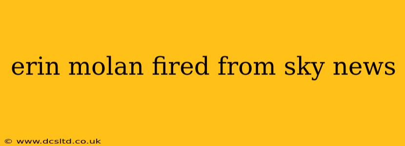 erin molan fired from sky news