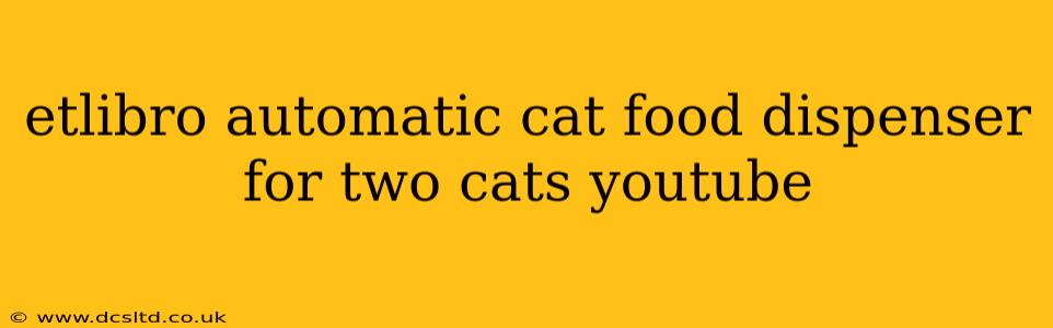 etlibro automatic cat food dispenser for two cats youtube