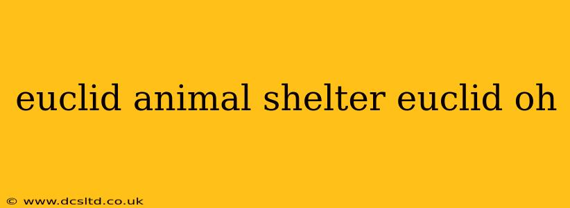 euclid animal shelter euclid oh