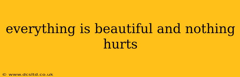 everything is beautiful and nothing hurts