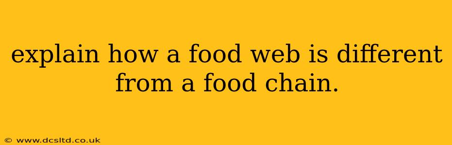 explain how a food web is different from a food chain.