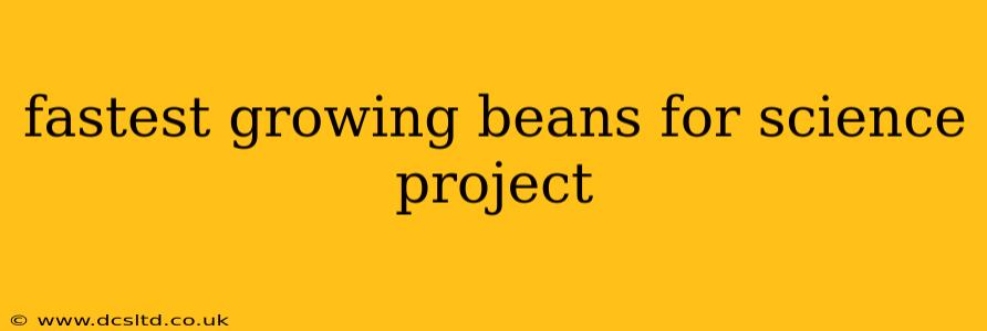fastest growing beans for science project
