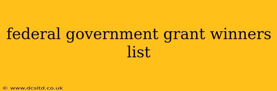 federal government grant winners list