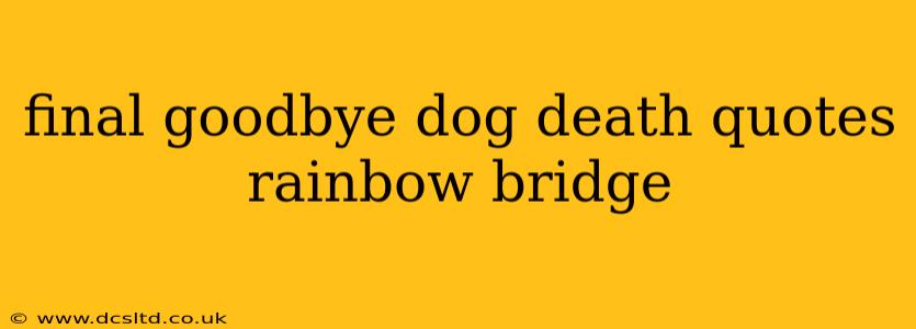 final goodbye dog death quotes rainbow bridge