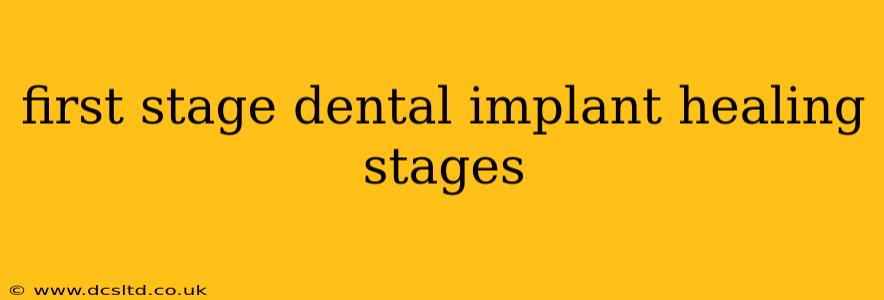 first stage dental implant healing stages