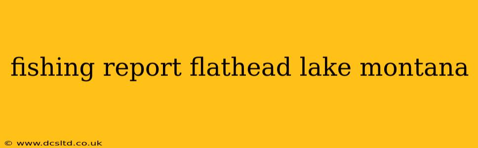 fishing report flathead lake montana