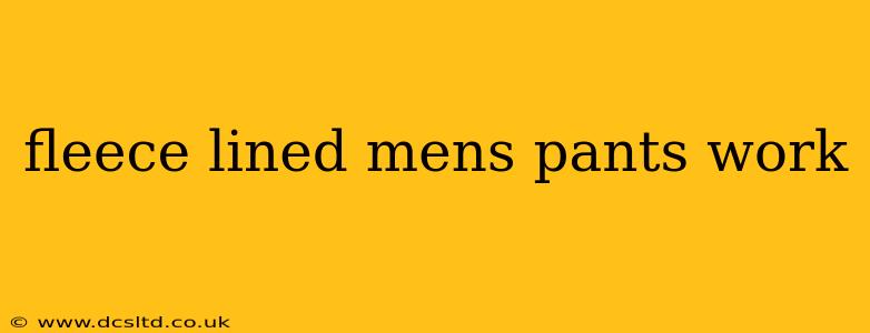fleece lined mens pants work