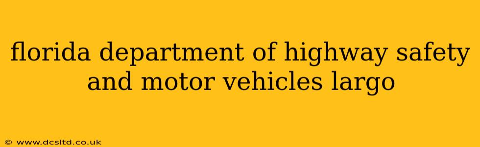 florida department of highway safety and motor vehicles largo
