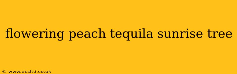 flowering peach tequila sunrise tree