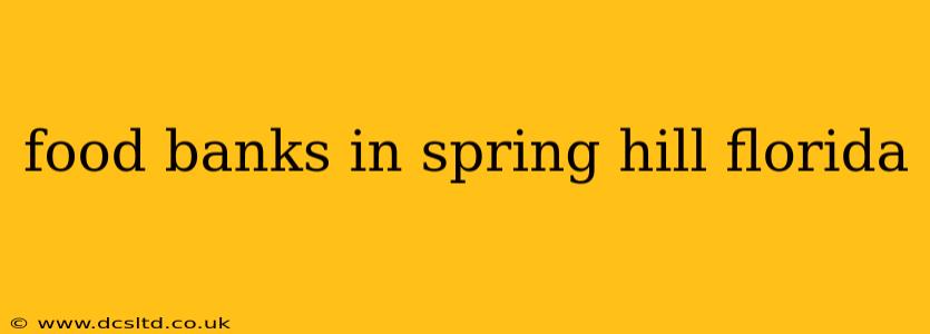 food banks in spring hill florida