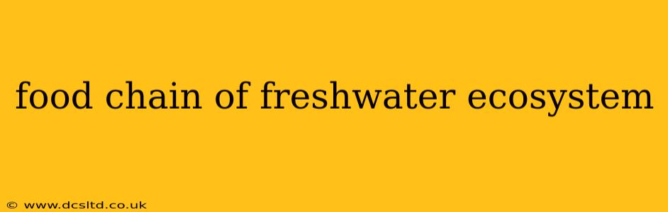 food chain of freshwater ecosystem