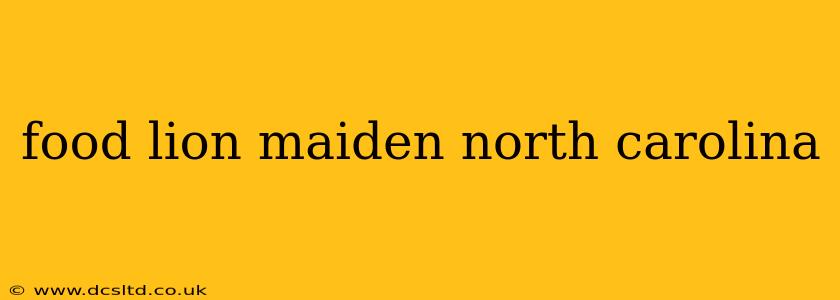 food lion maiden north carolina