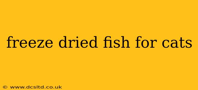 freeze dried fish for cats