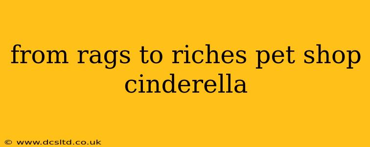 from rags to riches pet shop cinderella