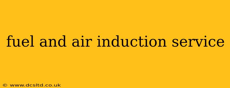 fuel and air induction service