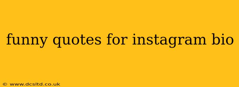funny quotes for instagram bio