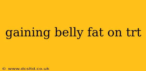 gaining belly fat on trt