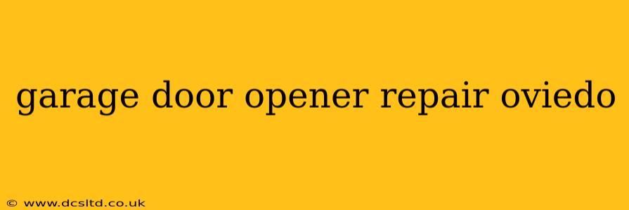 garage door opener repair oviedo
