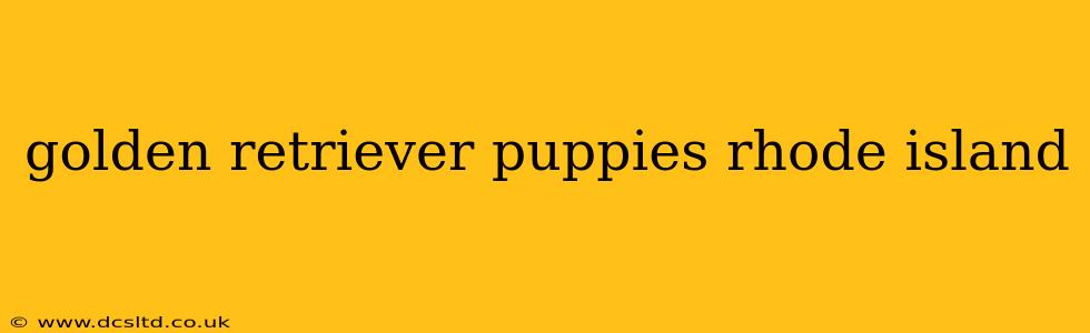 golden retriever puppies rhode island