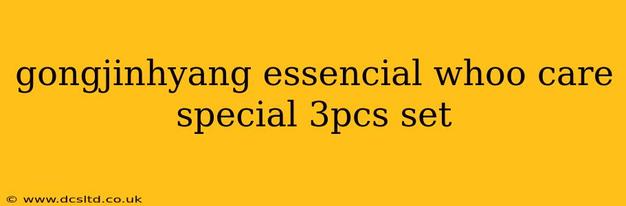 gongjinhyang essencial whoo care special 3pcs set