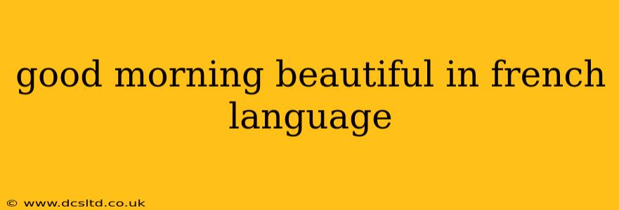 good morning beautiful in french language