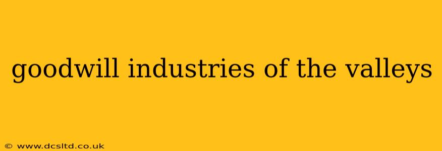 goodwill industries of the valleys