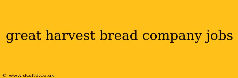 great harvest bread company jobs