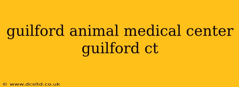 guilford animal medical center guilford ct
