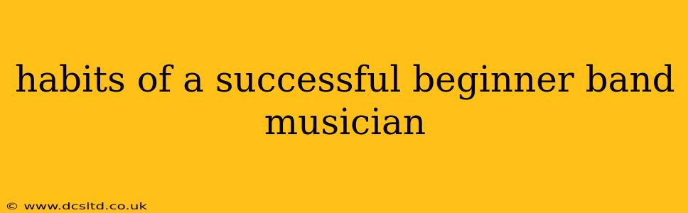 habits of a successful beginner band musician