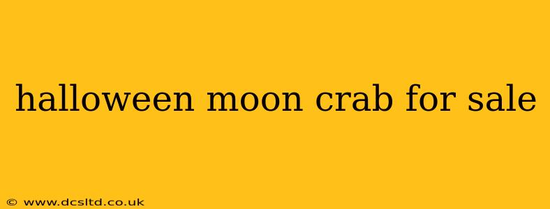 halloween moon crab for sale