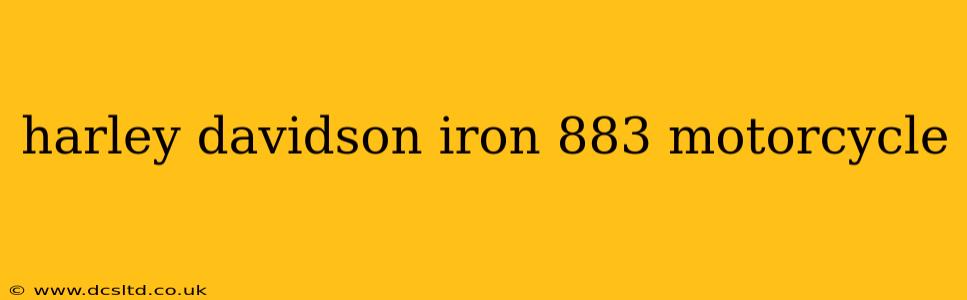 harley davidson iron 883 motorcycle