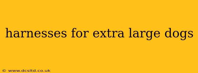 harnesses for extra large dogs