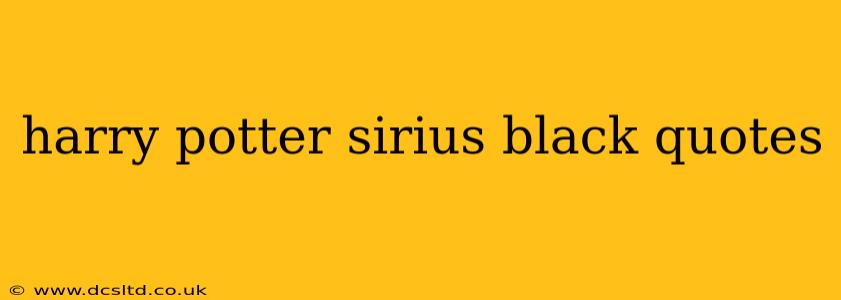 harry potter sirius black quotes