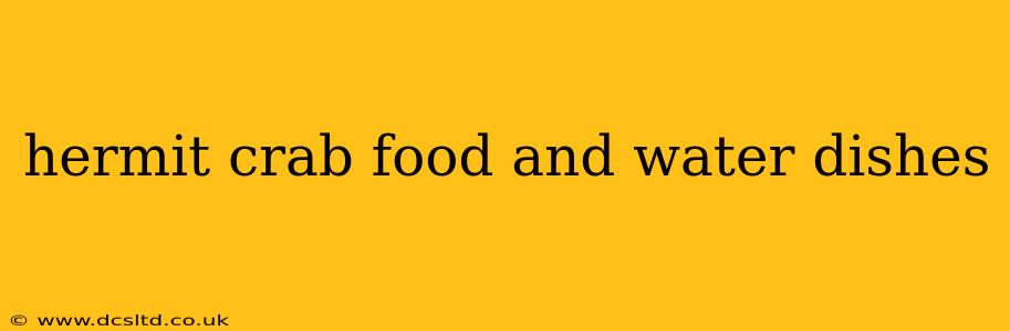 hermit crab food and water dishes
