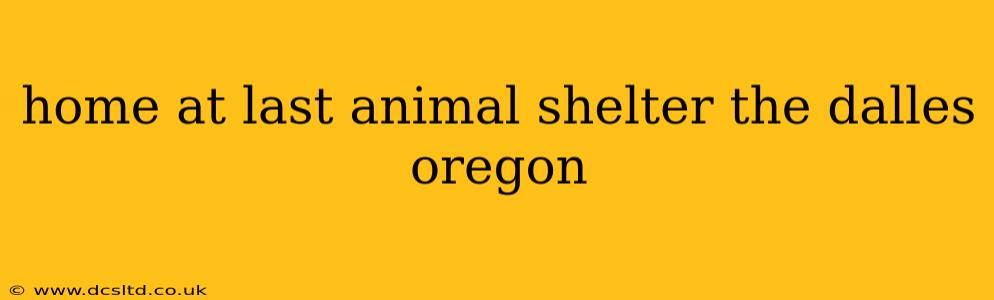 home at last animal shelter the dalles oregon