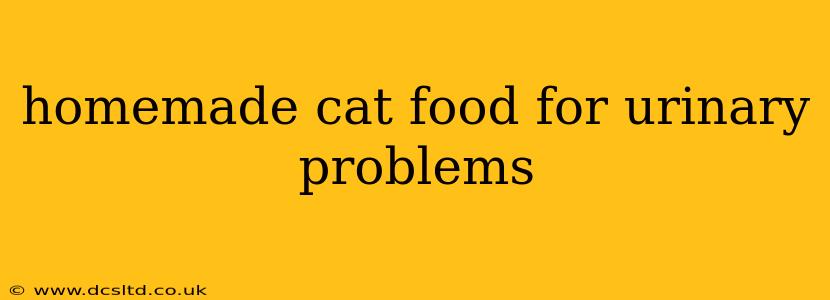 homemade cat food for urinary problems