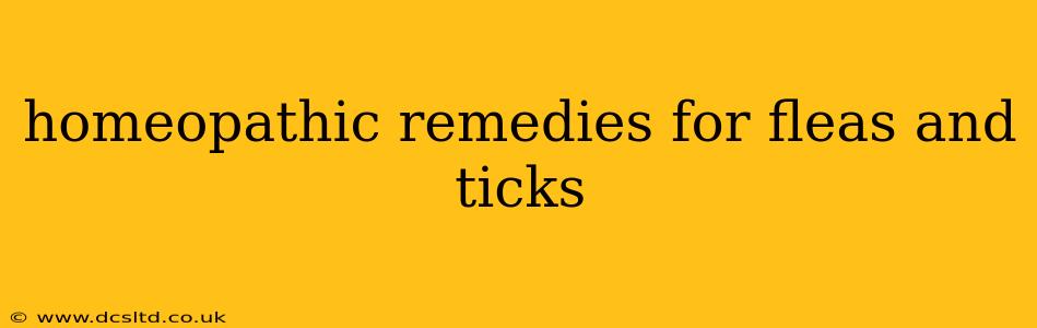 homeopathic remedies for fleas and ticks