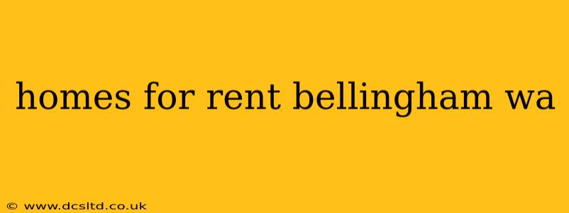 homes for rent bellingham wa