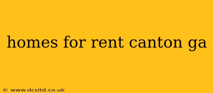 homes for rent canton ga