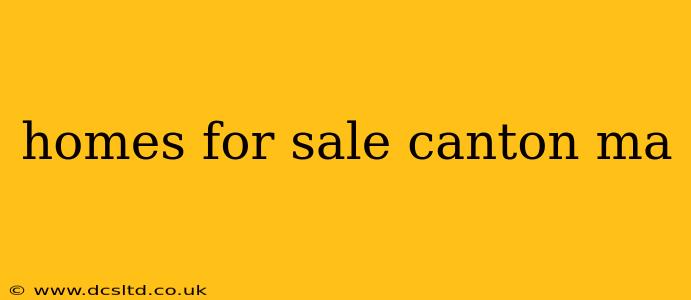 homes for sale canton ma